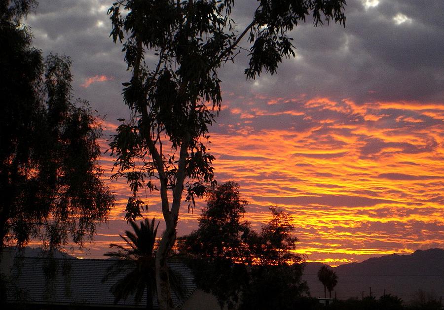 Arizona Sunset #2 Photograph by Lessandra Grimley