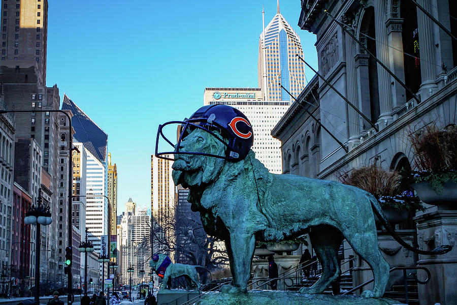 Chicago Photograph - Art Institute of Chicago Lions #2 by Anthony Doudt