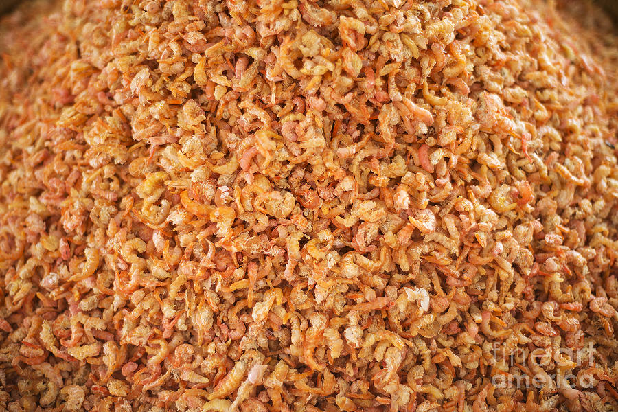 Asia Photograph - Asian Dried Shrimp In Kep Market Cambodia #2 by JM Travel Photography