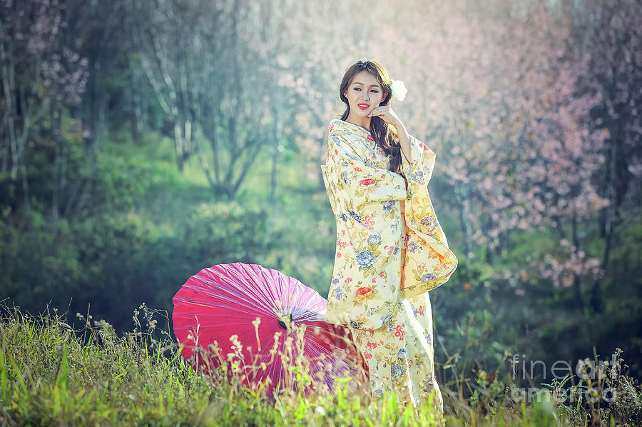 Asian women wearing traditional Japanese kimono Photograph by Sasin ...