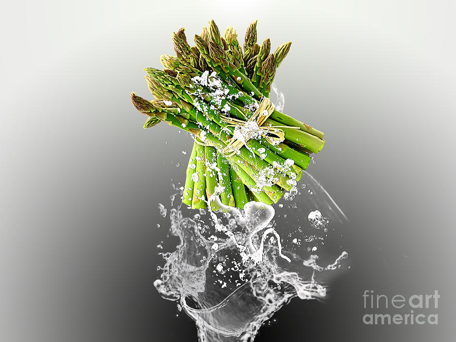 Vegetable Mixed Media - Asparagus Splash #2 by Marvin Blaine