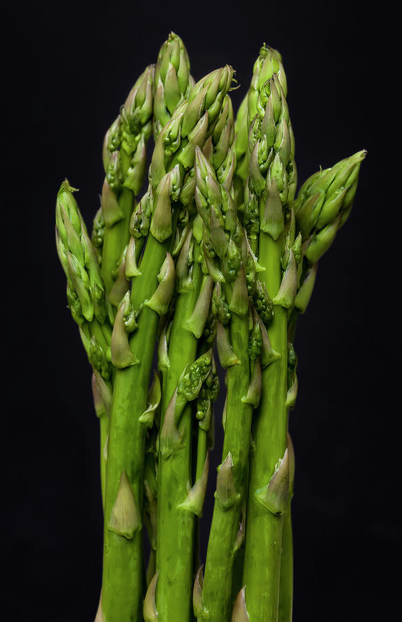 Asparagus Still Life #2 Photograph by Robert Ullmann
