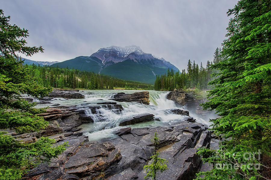 Athabasca Falls #2 Photograph by David Arment