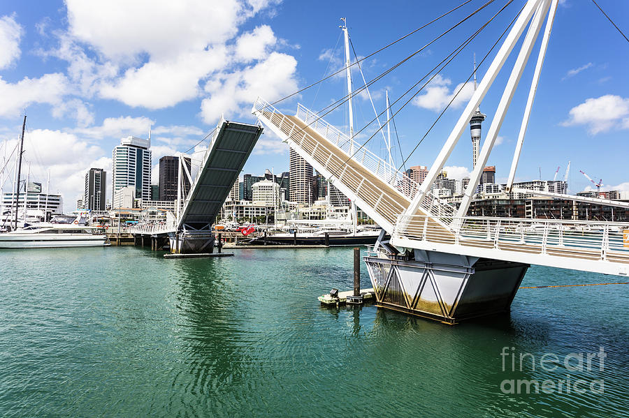 Auckland marina in New Zealand #2 Photograph by Didier Marti