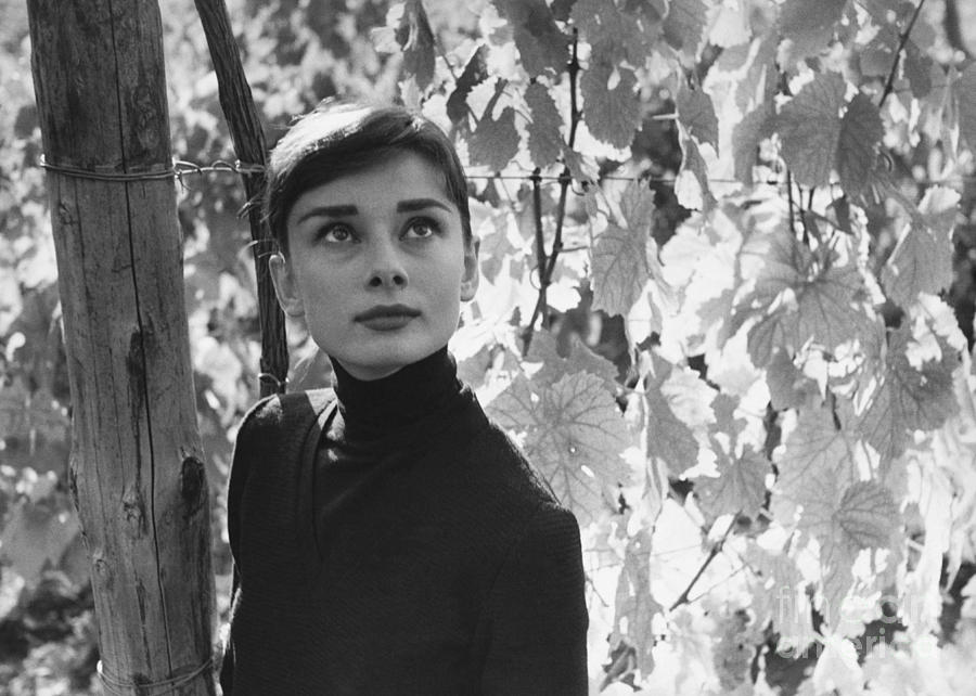 Audrey Hepburn #1 Photograph by George Daniell