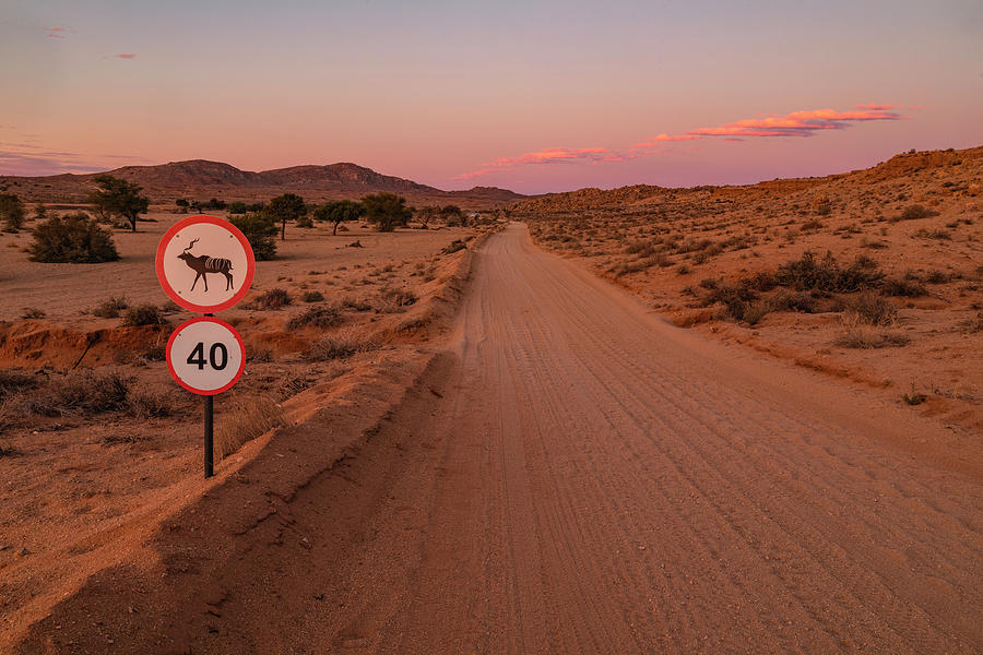 Aus - Namibia #2 Photograph by Joana Kruse