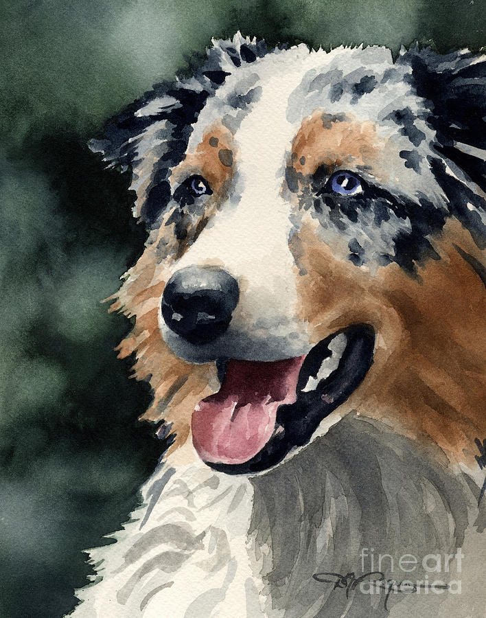 Portrait Painting - Australian Shepherd #2 by David Rogers
