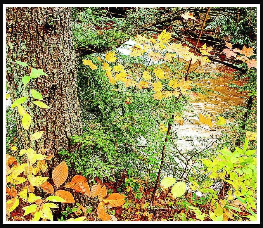 Autumn by a Pennsylvania Mountain Stream Digital Art #2 Digital Art by A Macarthur Gurmankin