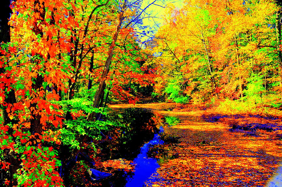 Autumn Colors #2 Photograph by Aron Chervin