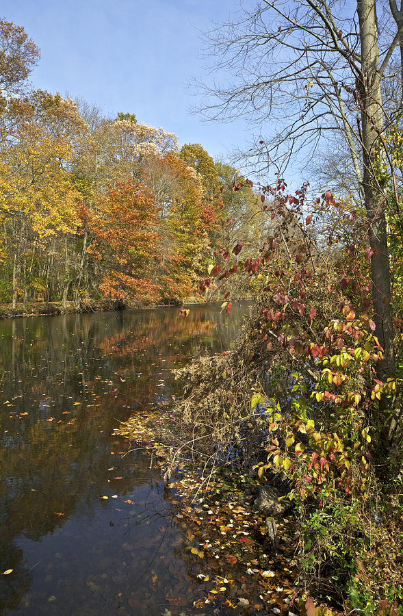 Autumn Colors on the Canal #2 Photograph by David Letts