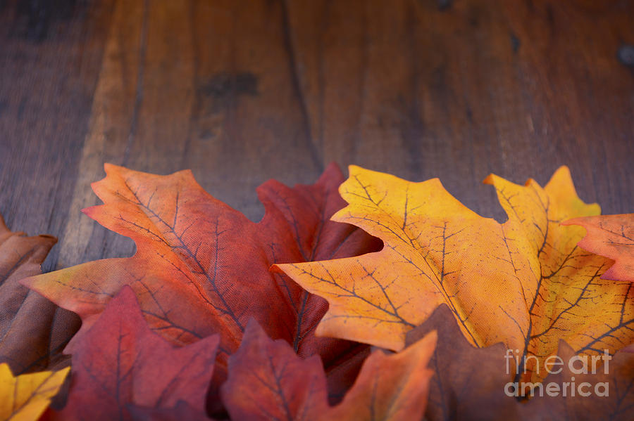 Autumn Fall background  #2 Photograph by Milleflore Images