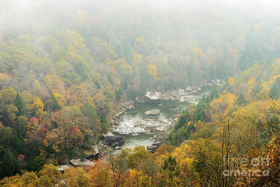 Autumn Fog Gauley River #2 Photograph by Thomas R Fletcher