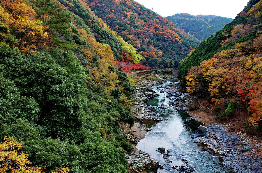 Autumn in Kyoto Photograph by Conan Wang - Fine Art America