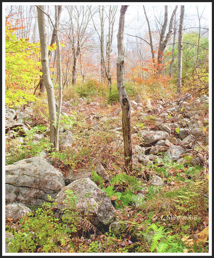 Autumn in the Pocono Mountains, Pennsylvania #2 Photograph by A Macarthur Gurmankin