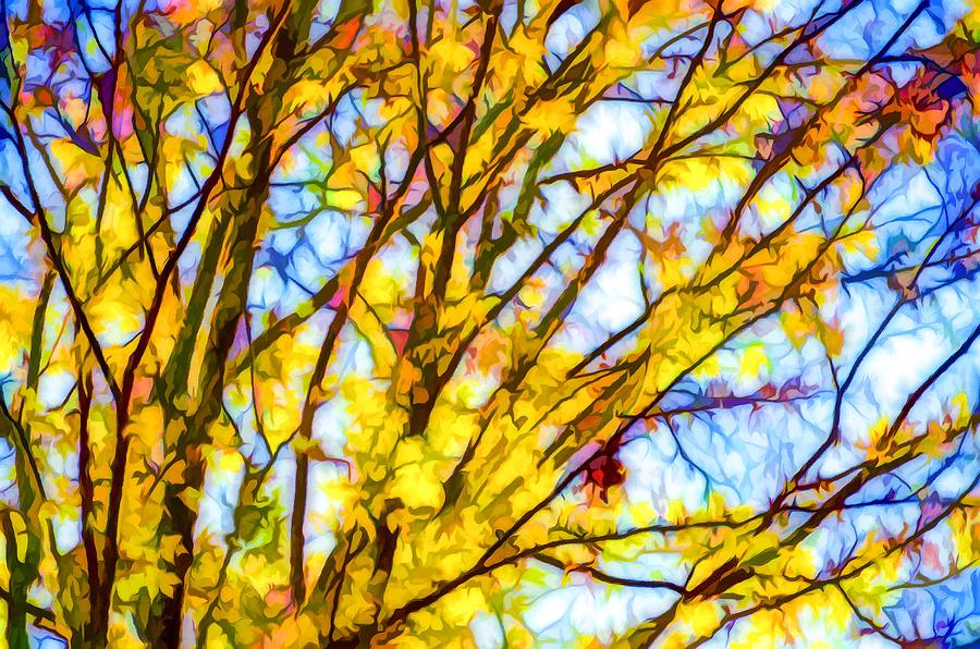 Fall Painting - Autumn leaves against blue sky #2 by Jeelan Clark