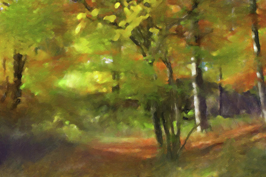 Autumn Light #3 Painting by Lutz Baar