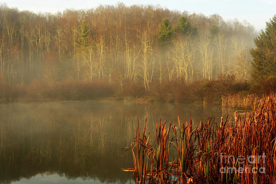 Autumn Morning Mist on Lake #2 Photograph by Thomas R Fletcher