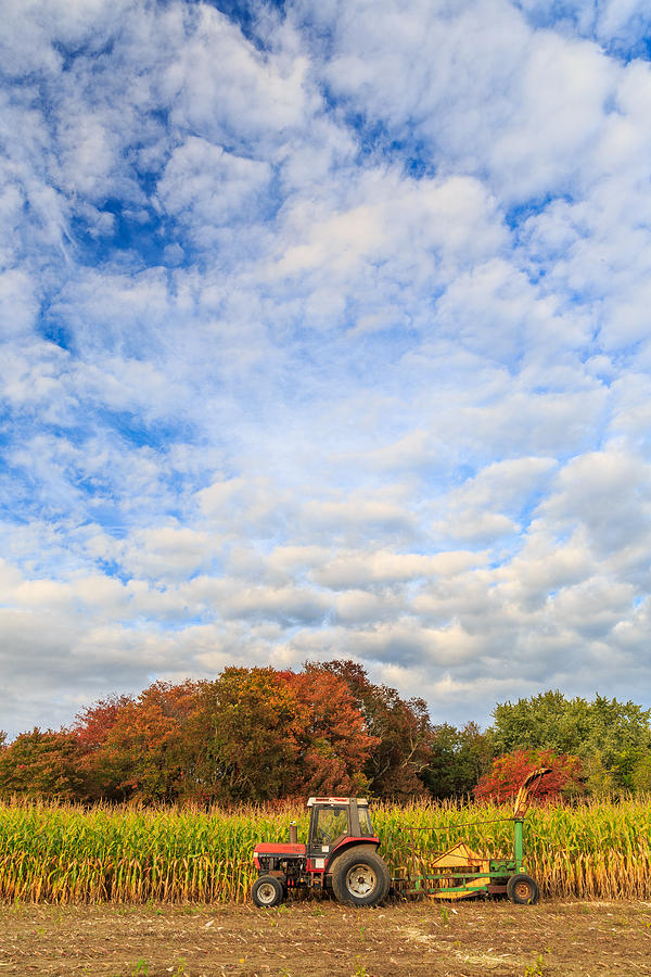 Autumn on the Farm #2 Photograph by Bryan Bzdula