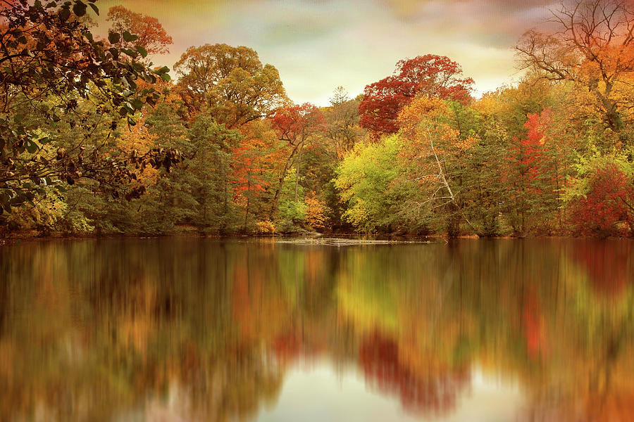 Autumn Pond Photograph by Jessica Jenney - Fine Art America