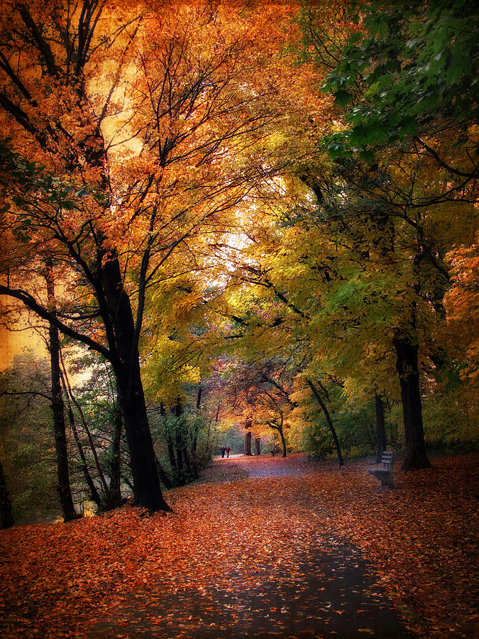 Nature Photograph - Autumn Promenade #4 by Jessica Jenney