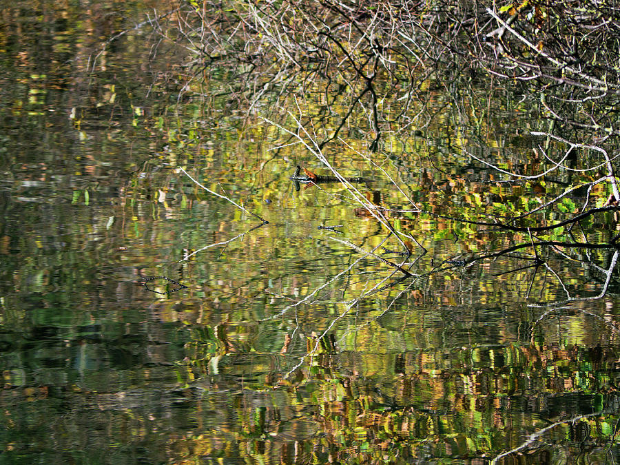 Autumn reflection Lathkill Photograph by Jerry Daniel