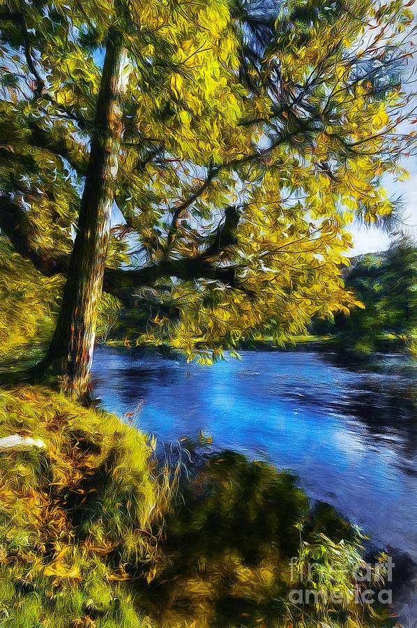 Autumn River #2 Photograph by Ian Mitchell