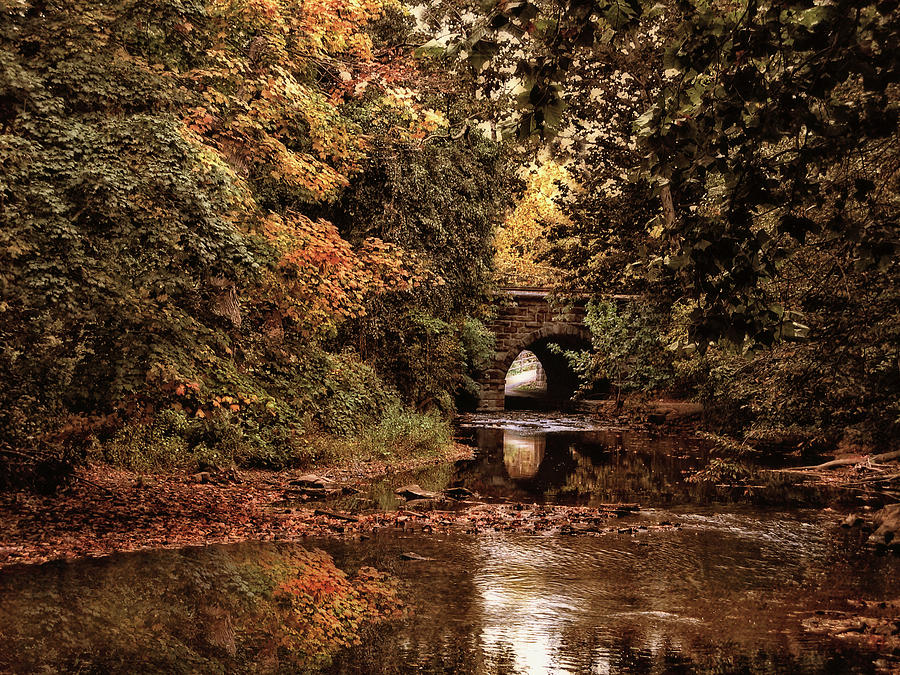 Autumn River View #2 Photograph by Jessica Jenney