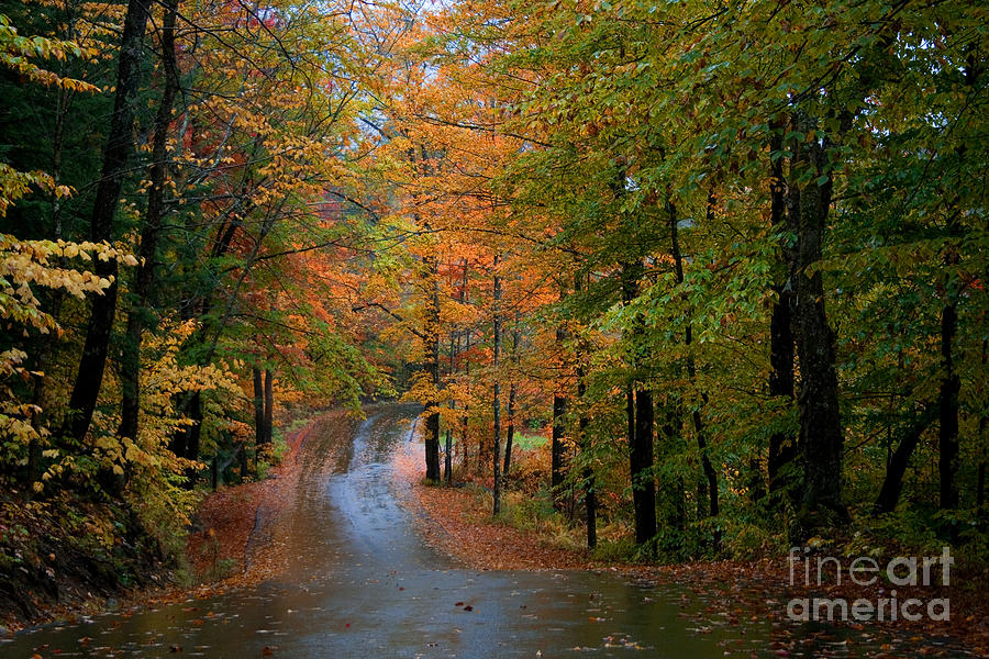 Autumn Road #2 Photograph by Larry Landolfi