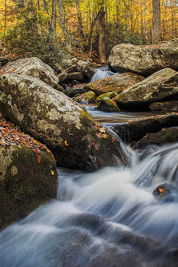 Autumn Stream #2 Photograph by Andrew Soundarajan