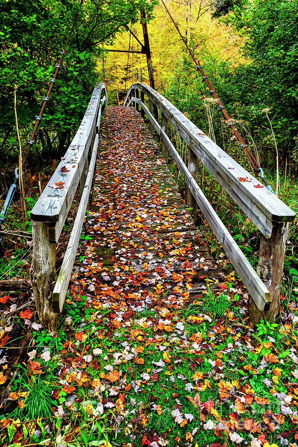 Autumn Upper Shavers Fork Preserve #2 Photograph by Thomas R Fletcher