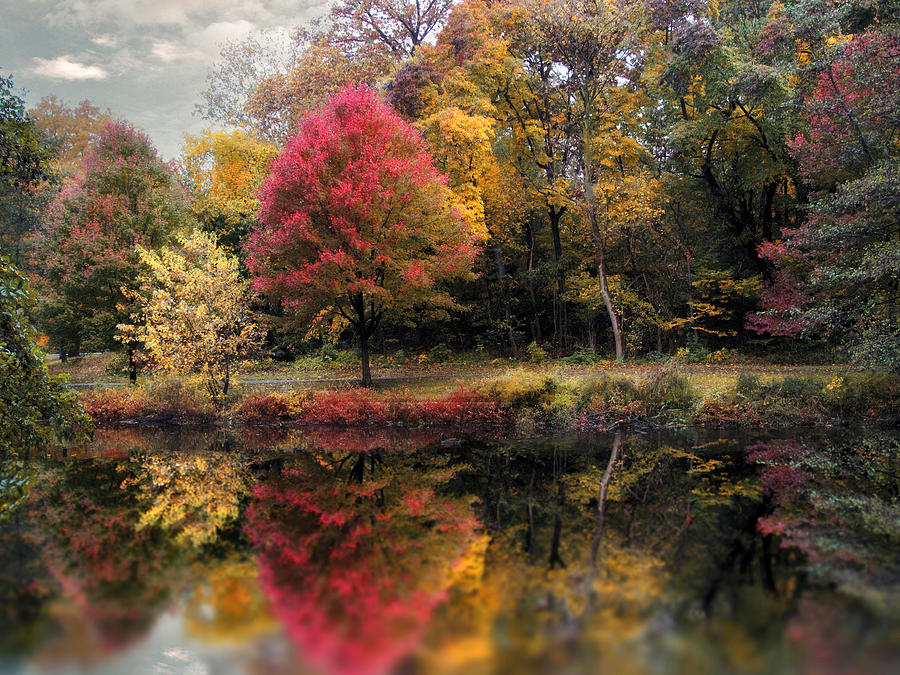 Autumn's Mirror Photograph by Jessica Jenney