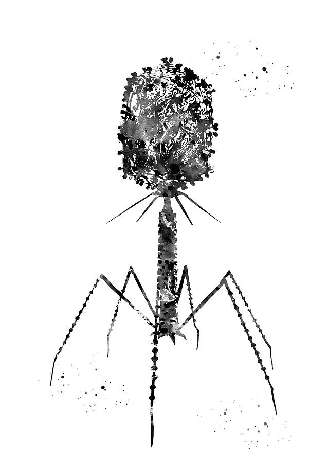 Bacteriophage Digital Art by Erzebet S