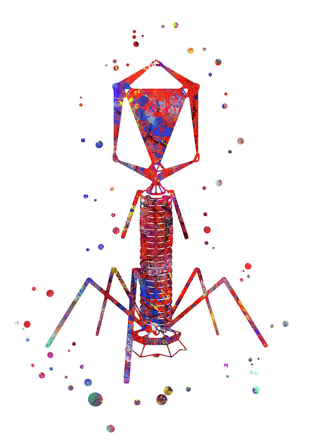 Bacteriophage virus #2 Painting by Art Galaxy