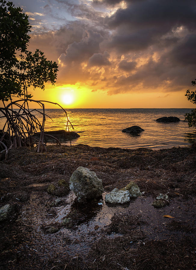 Bahia Honda Sunset #2 Photograph by David Hart