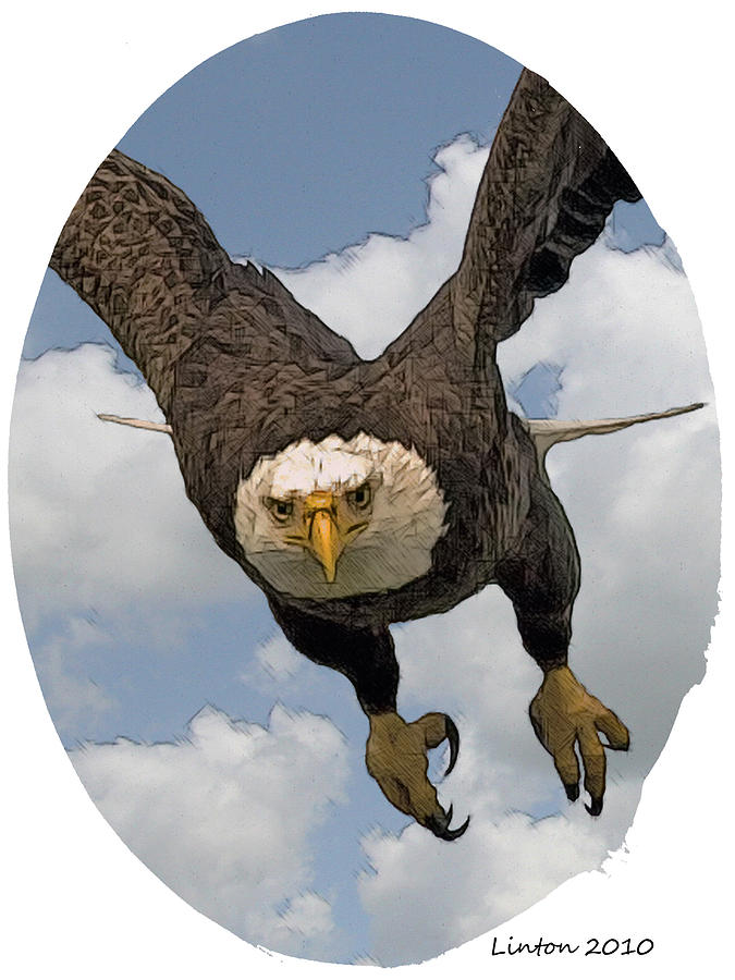 Bald Eagle #2 Digital Art by Larry Linton