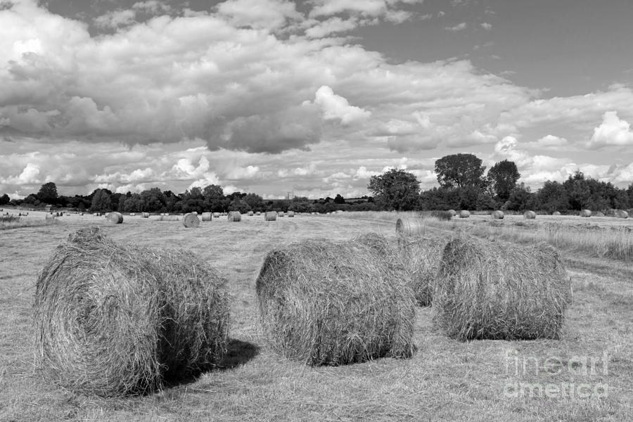 Bales of Hay in the English Countryside #3 Photograph by Julia Gavin