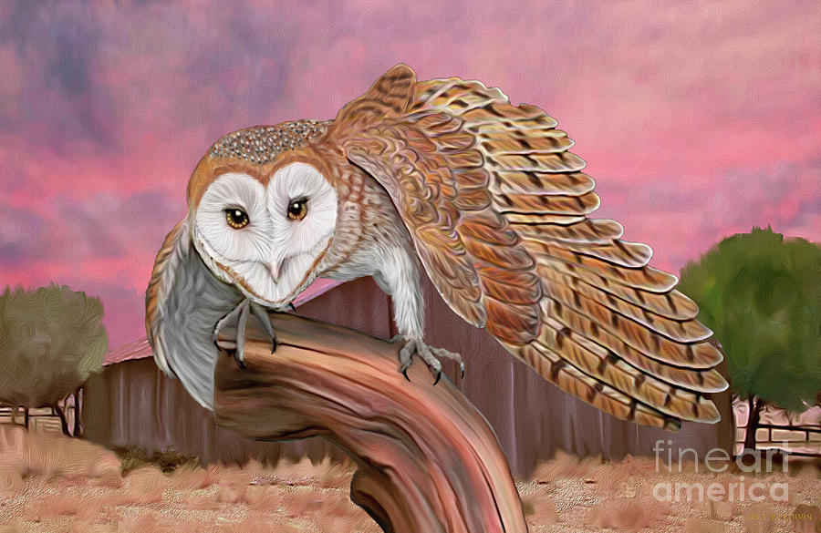 Barn Owl #2 Digital Art by Walter Colvin
