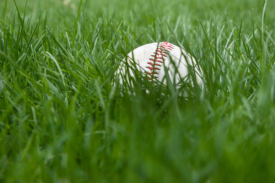 Baseball in Grass Photograph by Erin Cadigan - Fine Art America