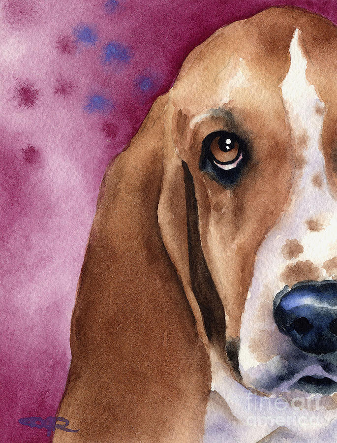Dog Painting - Basset Hound #1 by David Rogers