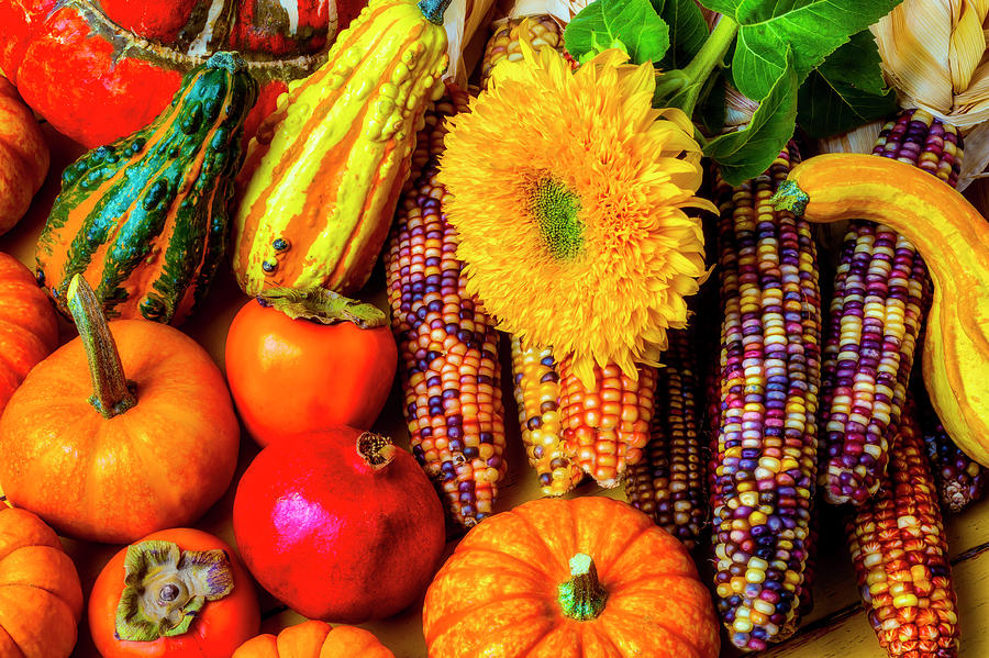 Beautiful Autumn Harvest #2 Photograph by Garry Gay