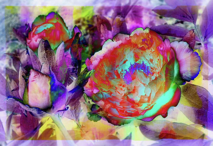 Beautiful flower #2 Digital Art by Lilia S
