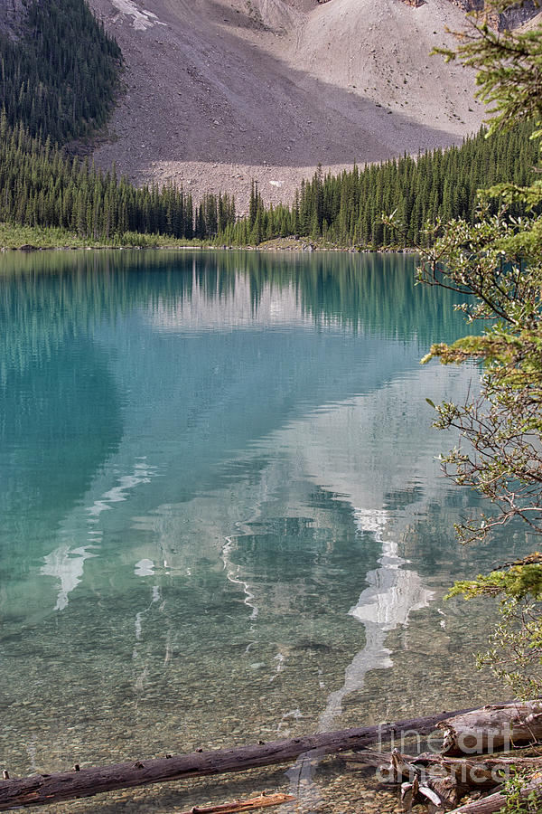 Beautiful Lake Moraine in Banff Photograph by Patricia Hofmeester