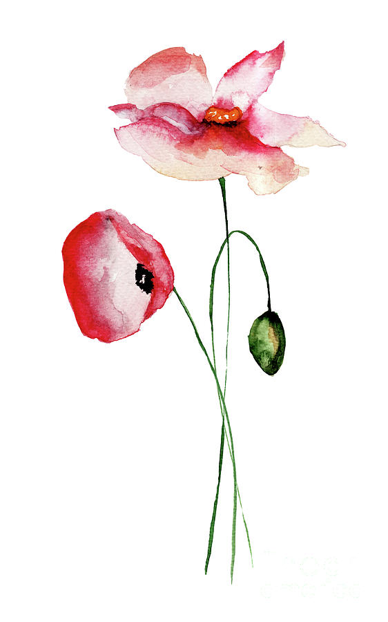 Beautiful Poppy flowers #3 Painting by Regina Jershova