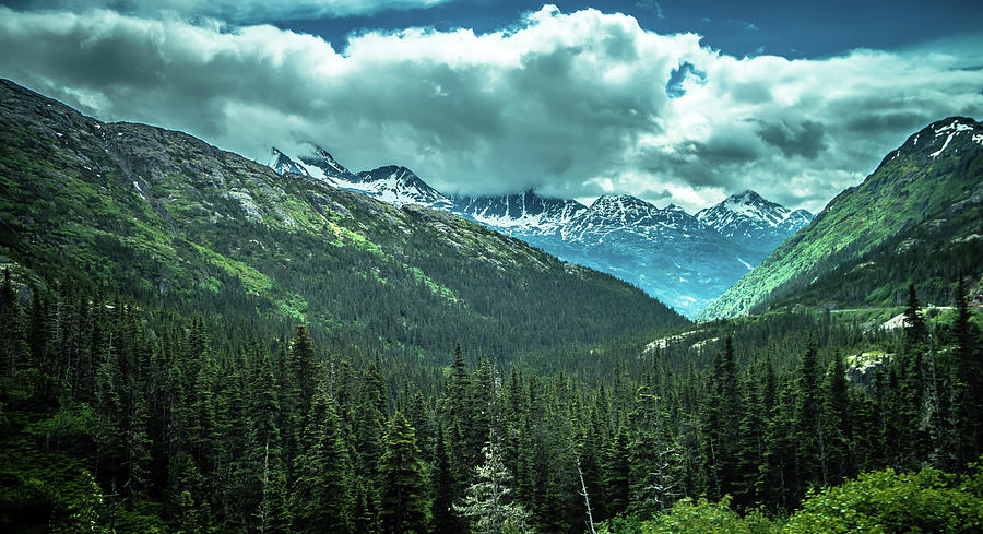 Beautiful Rocky Mountains In June In Whitepass Near Skagway Alas #2 Photograph by Alex Grichenko