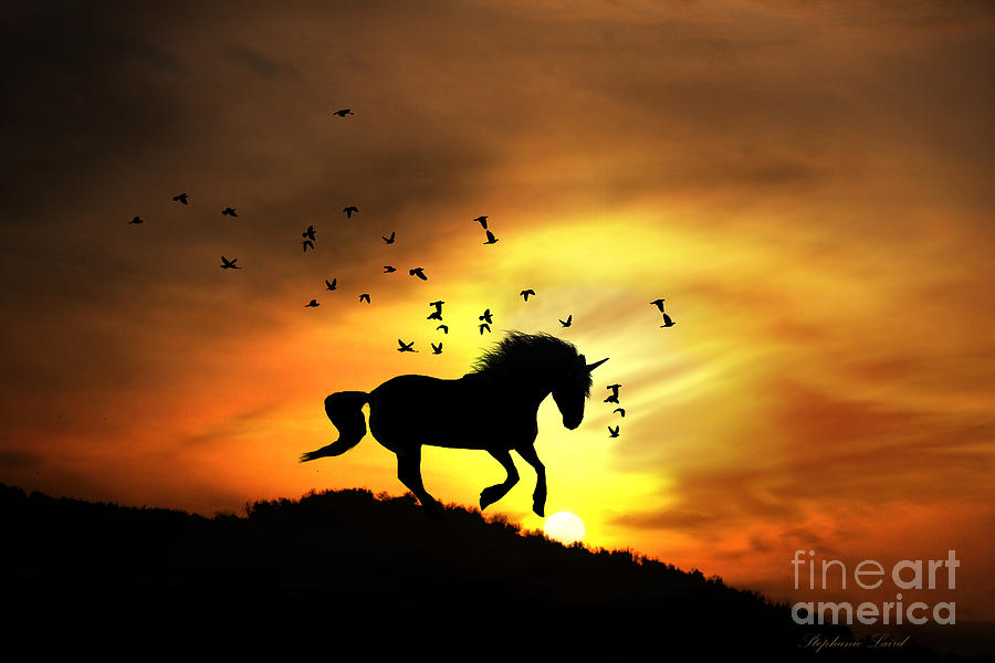 Unicorn Photograph - Believe #1 by Stephanie Laird