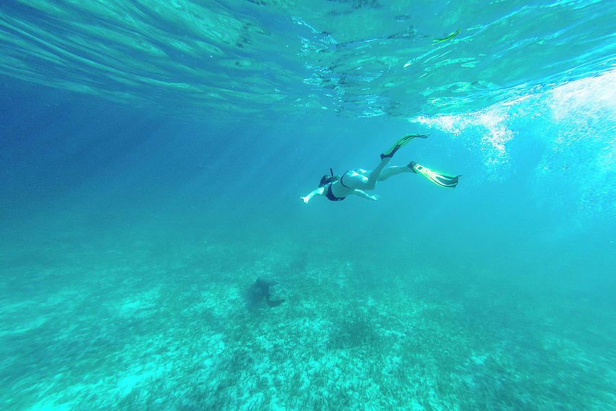 Belize Underwater #2 Photograph by Evgeny Vasenev