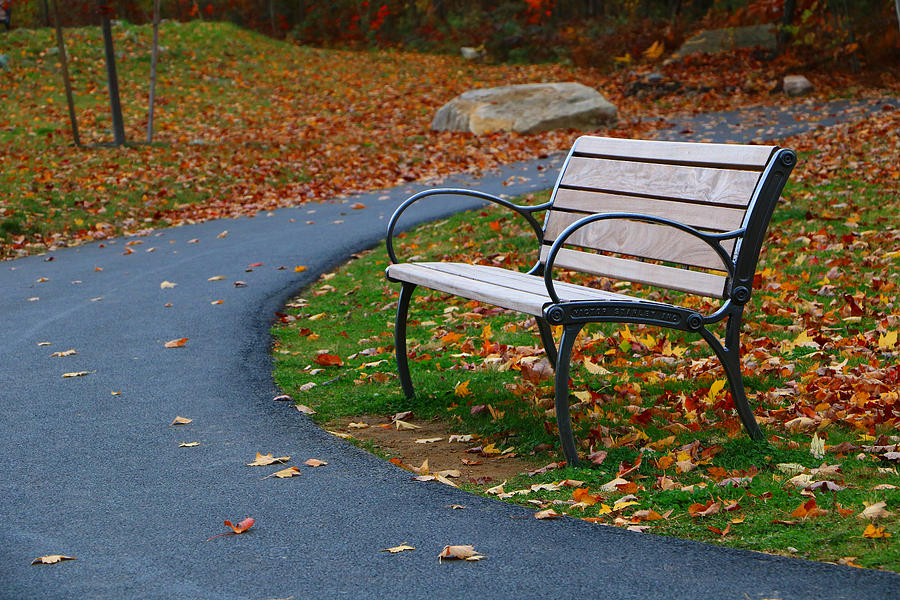 Bench on The Walk by Rick Morgan Bench on The Walk by Rick Morgan
