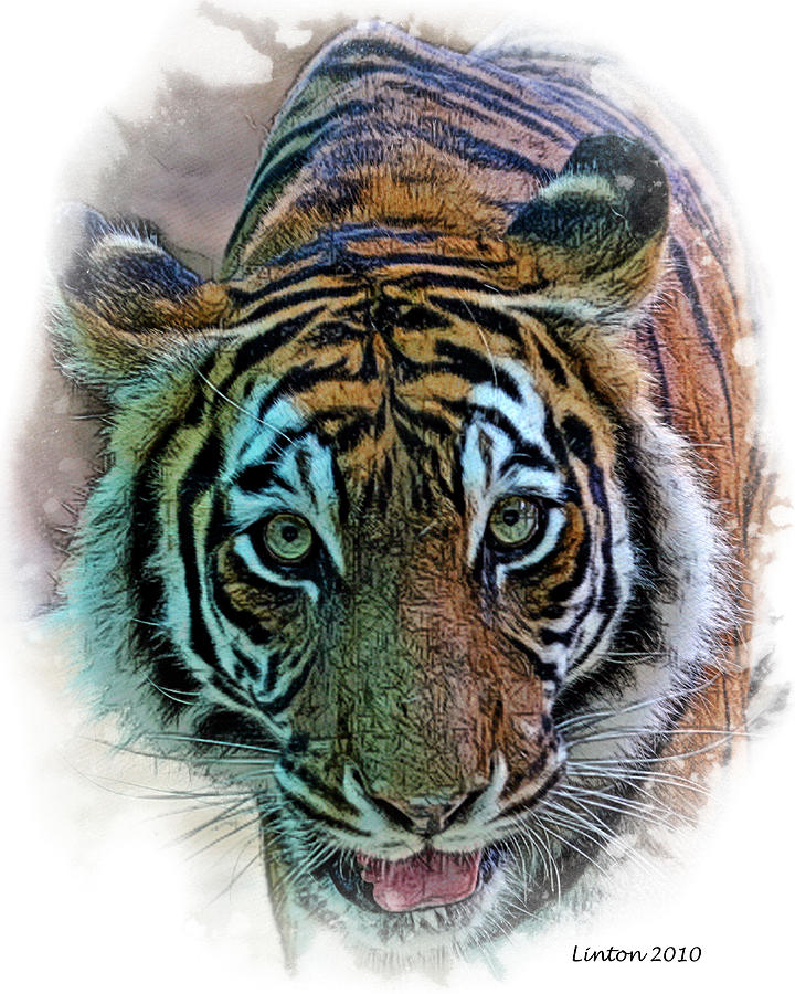 Nature Digital Art - Bengal Tiger #2 by Larry Linton