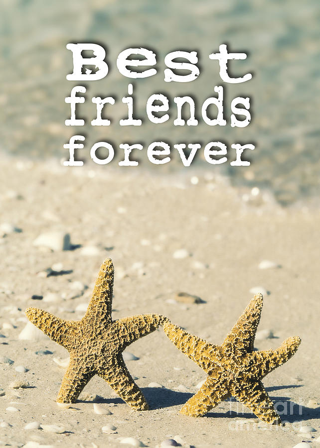 Best Friends Forever #2 Photograph by Edward Fielding