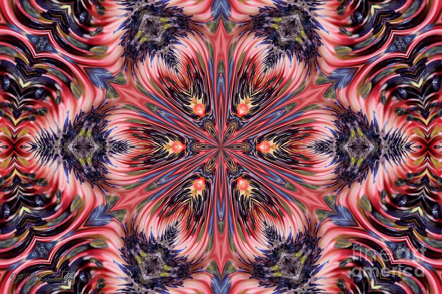 Bicolor Kaleidoscope #3 Digital Art by J McCombie